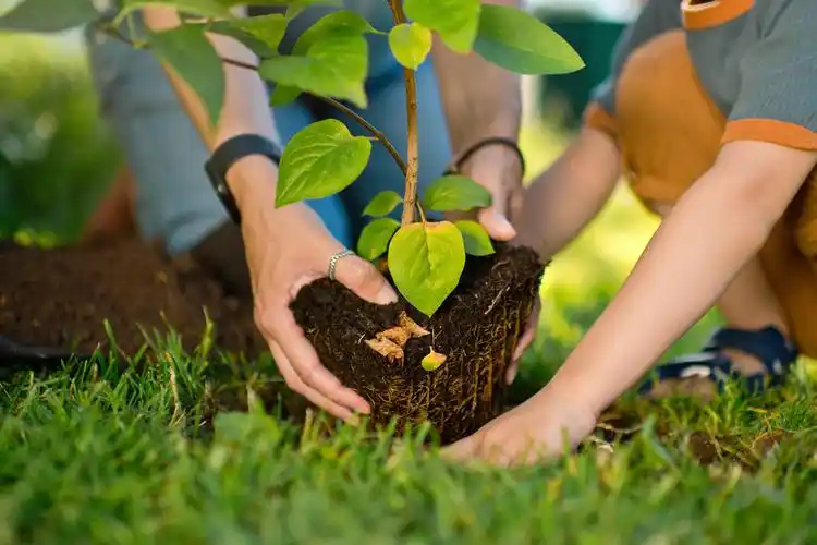 Tree-Planting Day: Our Commitment to a Greener Future